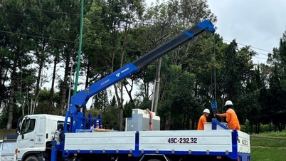 PC Lâm Đồng nỗ lực bảo đảm hành lang an toàn lưới điện