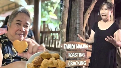 Philippinen-Reise: Unvergessliche Reiseziele in Cebu und Bohol
