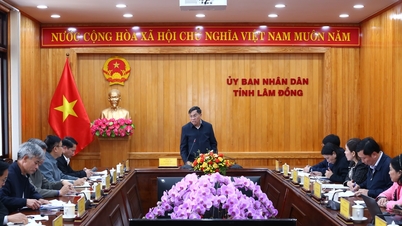 Lam Dong province conducts a comprehensive review of public assets.
