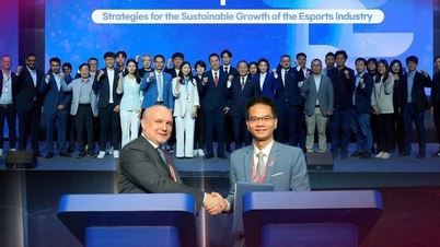 Vietnams E-Sport-Ökosystem 2026: Voller internationaler Wettbewerbe und dynamischer nationaler Ligen.