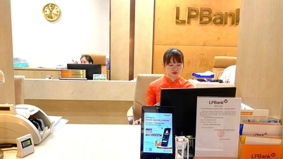 ก่อนการเสนอขายหุ้น IPO บริษัท LPBank Securities ได้แต่งตั้งซีอีโอคนใหม่