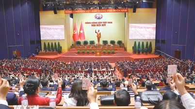 베트남 공산당 제14차 중앙위원회 위원 200명 전원에 대한 정보 요약.