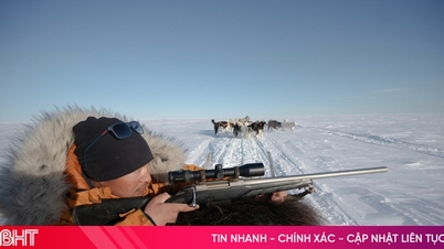 ການລ່າສັດໝີຂົ້ວໂລກໃນ Greenland