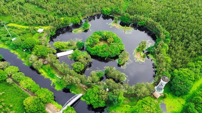 Taman Nasional U Minh Thuong