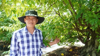 Sıfırdan başlayarak milyonlarca dolarlık bir bonsai bahçesi kurdu.