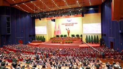 A solid political foundation for the National Assembly to continue its vigorous reforms.