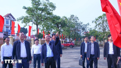 Ninh Bình phấn đấu trở thành thành phố trực thuộc Trung ương vào năm 2030