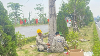 Mức thưởng bình quân Tết Bính Ngọ ở Hải Phòng tăng khoảng 4%