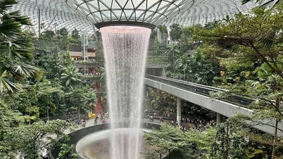 Vietnamese reizigers dienen op de hoogte te zijn van de meest recente inreisregels van Singapore.