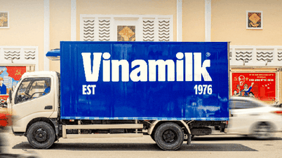 Um importante investidor estrangeiro quer vender todas as suas ações e retirar seu capital da Vinamilk.