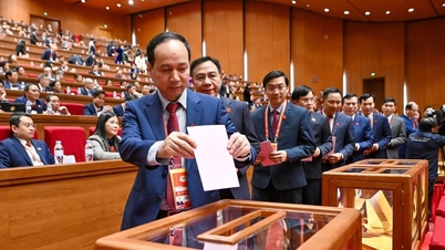 중앙위원회에는 71명의 신규 위원이 포함되어 있으며, 그중에는 많은 지방 사무총장과 도지사들이 있습니다.