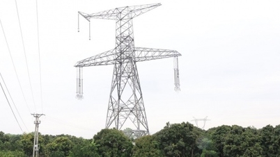 EVNNPT ha sido aprobado para un proyecto de línea de transmisión de 500 kV de casi 188 km de longitud en la provincia de Gia Lai.