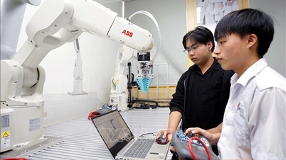 Az egyetemi irányítási mechanizmusok reformja az új követelményeknek való megfelelés érdekében.