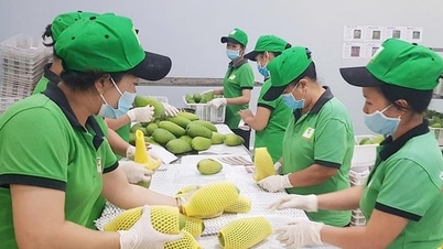 The total export value of agricultural, forestry, and aquatic products is targeted to reach 73-74 billion USD.