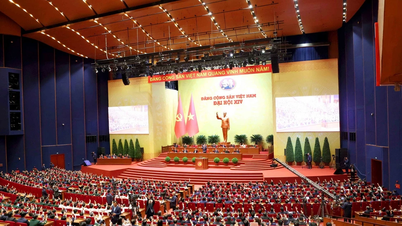 International partners of the Central Committee of the Vietnam Fatherland Front sent congratulatory letters to the 14th National Congress of the Party.