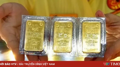 금값이 냥당 400만 VND 상승했다.