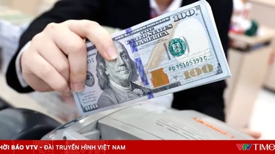 Over 10 billion USD in remittances flow into Ho Chi Minh City.