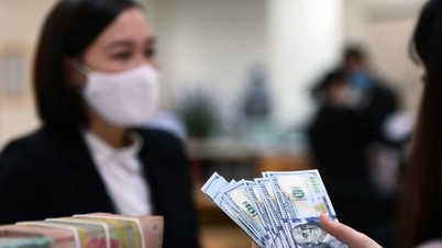Tỷ giá VND/USD trên thị trường tự do giảm trong sáng 23-1
