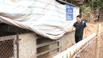 Bảo vệ đàn vật nuôi trước thời tiết rét đậm