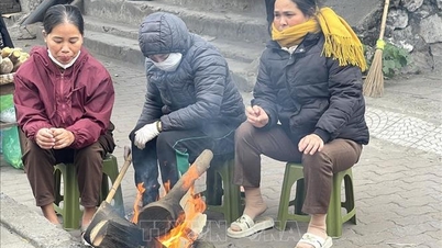 A partir del 24 de enero, la región norte se calentará gradualmente y mantendrá esta temperatura hasta finales de enero.