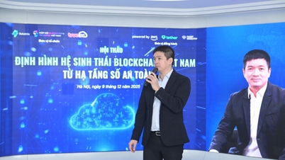 Imposing a 0.1% tax: Laying the foundation for a transparent digital asset market.