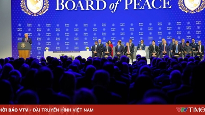 Vietnam hozzájárul a Gázai övezet békefolyamatának előmozdításához, és erősíti az együttműködést az Egyesült Államokkal.