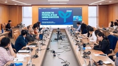 A vietnami zöld szén-dioxid-kibocsátási partnerségi program végrehajtási ütemtervet javasol.