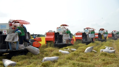 La agricultura vietnamita mantiene su papel fundamental, con exportaciones que alcanzan casi 70 mil millones de dólares.
