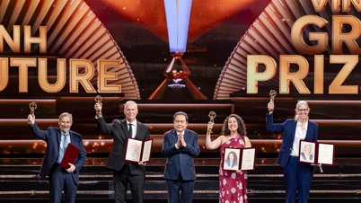 VinFuture erhält offiziell eine Preisnominierung für seine 6. Staffel.