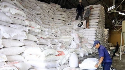 Hoàn thành nhập kho 500.000 tấn lương thực dự trữ quốc gia