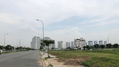 Ciudad Ho Chi Minh propone la implementación de una nueva lista de precios de tierras.