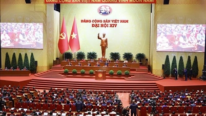 CHƯƠNG TRÌNH HÀNH ĐỘNG CỦA BAN CHẤP HÀNH TRUNG ƯƠNG ĐẢNG thực hiện Nghị quyết Đại hội XIV của Đảng
