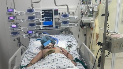 سفری شش ماهه برای نجات دختر بچه‌ای که به دلیل تصادف رانندگی دچار پارگی نادر پوست شده است.