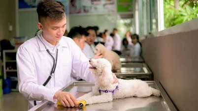 Bổ sung một số điều của các Nghị định trong lĩnh vực chăn nuôi và thú y