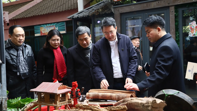 Phường Cửa Nam phát huy giá trị của y học cổ truyền trong chăm sóc và bảo vệ sức khỏe nhân dân