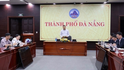 Em 2025, quase 72.000 clientes na cidade de Da Nang obtiveram crédito subsidiado por políticas públicas.