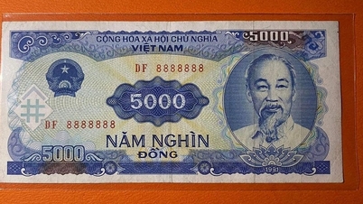 Vietnamská státní banka (SBV) potvrzuje, že informace o zrušení bankovek v hodnotě 1 000 až 5 000 VND jsou nepřesné.