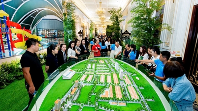 Growth cycle 2026: Eurowindow Sport Garden in the sights of investors.