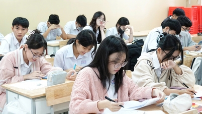Siste nytt: Alle studenter i Ho Chi Minh-byen vil være fritatt for skoleavgifter fra skoleåret 2025–2026.