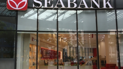 SeABank a obținut un profit înainte de impozitare de 6.868 miliarde VND, demonstrând o creștere a dimensiunii și a eficienței.
