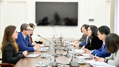 Продовжувати розширювати предметну співпрацю між В'єтнамом та Мальтою.