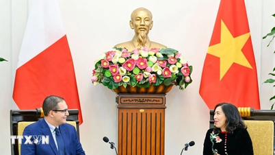 Malta pragnie nadal rozwijać istotną współpracę z Wietnamem.