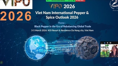 វៀតណាម និងឥណ្ឌា ជំរុញកិច្ចសហប្រតិបត្តិការលើវិស័យម្ហូបអាហារ និងភេសជ្ជៈ។