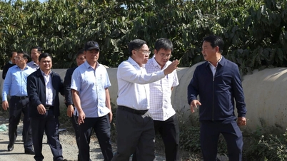 Místopředseda provinčního lidového výboru Lam Dong Vo Ngoc Hiep provádí inspekci dvou klíčových projektů v Dinh Van Lam Ha.