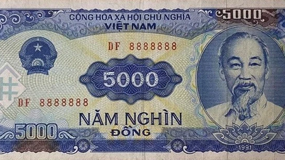 Bank Negara Vietnam membantah laporan tentang penghapusan uang kertas pecahan 1.000-5.000 VND.