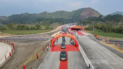 Caminos que conectan la alegría