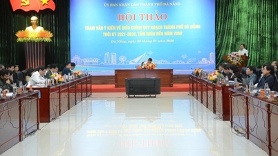 Konsultationsworkshop zur Anpassung der Stadtplanung von Da Nang