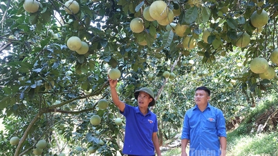 ບຸກເບີກໃນການນຳເອົາມະຕິຕ່າງໆໄປປະຕິບັດ.