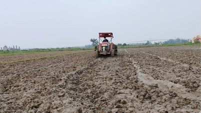 ຮັບປະກັນຜົນສຳເລັດສຳລັບການປູກພືດລະດູໜາວ-ລະດູໃບໄມ້ປົ່ງ.