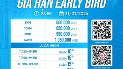 Tien Phong Marathon 2026: Early Bird Offer Extended